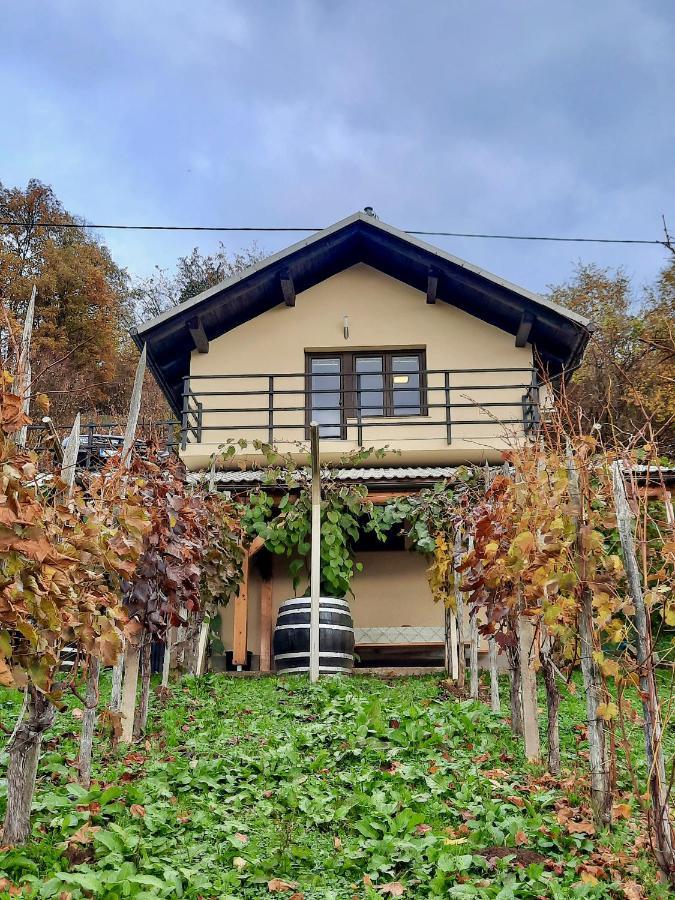 Vineyard Cottage Kulovec Ursna Sela Eksteriør billede