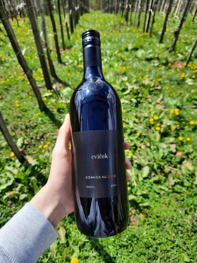 Vineyard Cottage Kulovec Ursna Sela Eksteriør billede